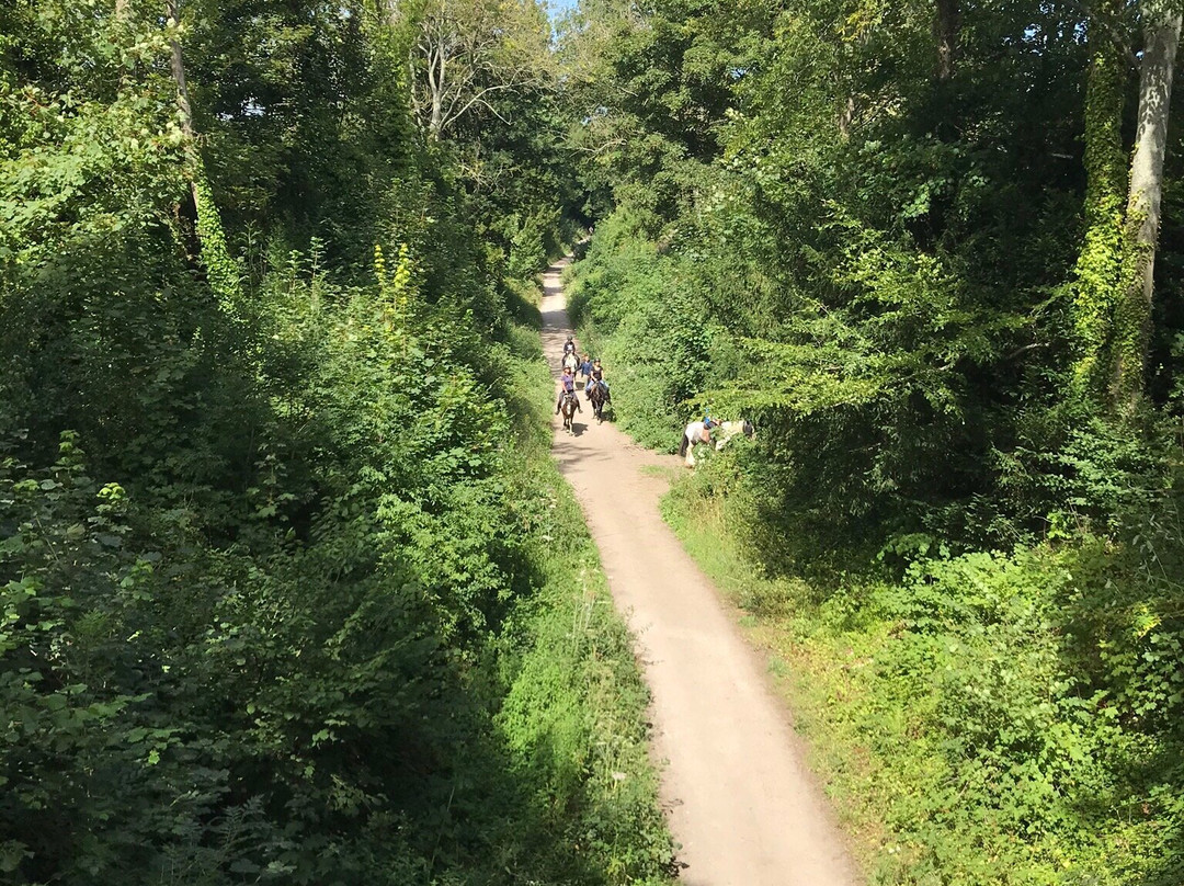 South Downs Trekking景点图片