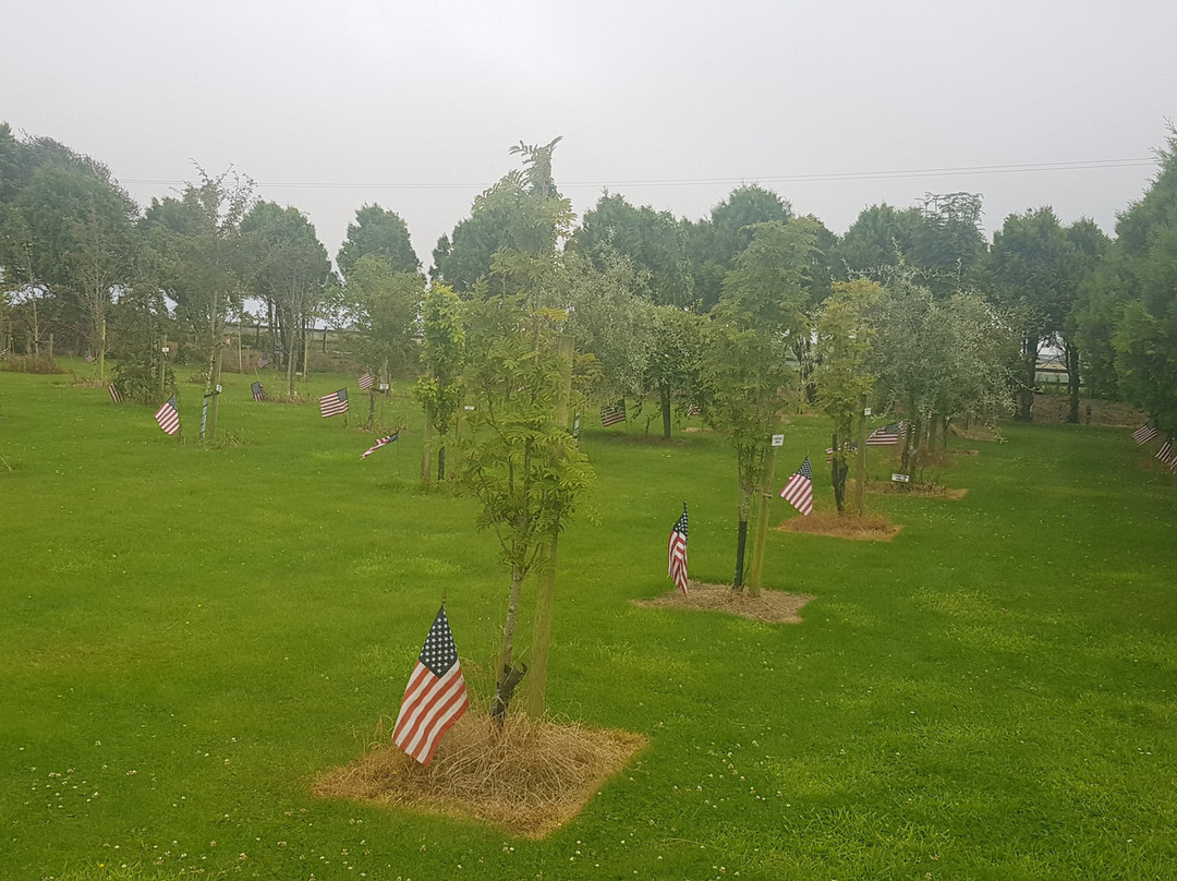 Ringfinnan Garden of Remembrance-金塞尔必去景点