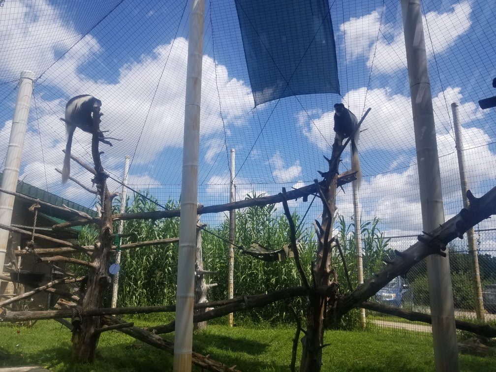 Sunset Zoo-曼哈顿必去景点