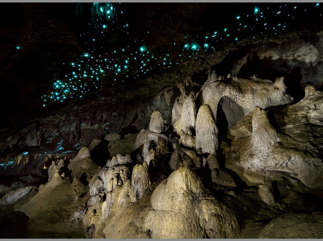 Waipu Caves Track景点图片