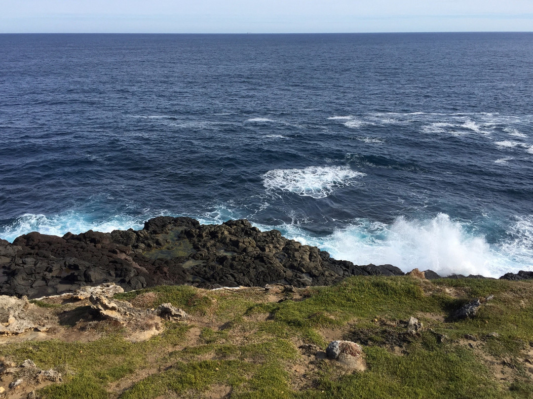 Discovery Bay Marine National Park-Cape Bridgewater必去景点