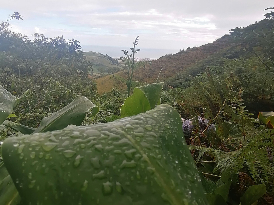 Trilho do Pico Queimado-大里贝拉必去景点