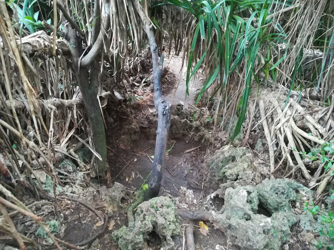 Sankakuten-Miyako-jima必去景点