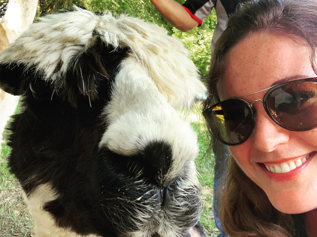 Rocking Chair Farm-Corryton必去景点