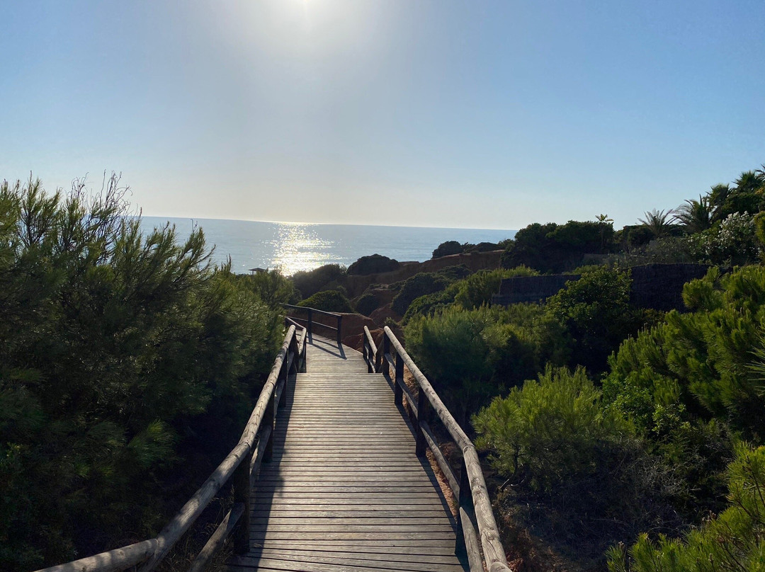 Playa de Roche景点图片