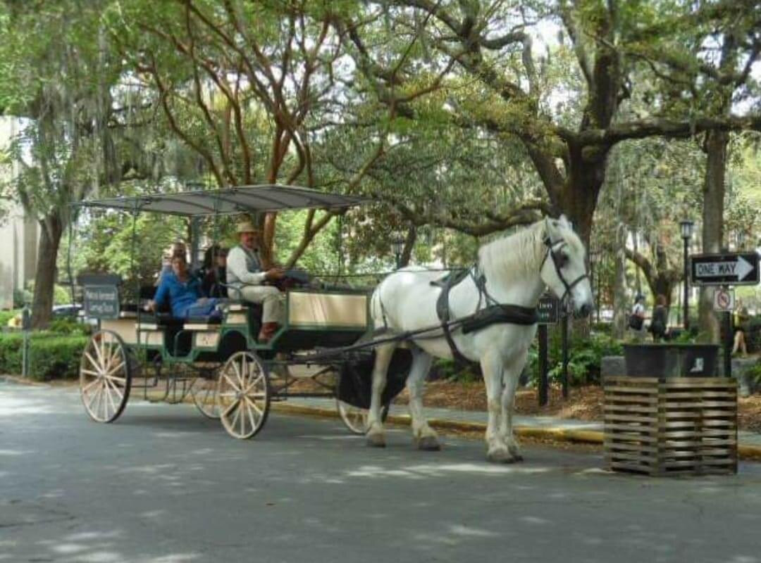 Savannah Carriage Tours-萨凡纳必去景点
