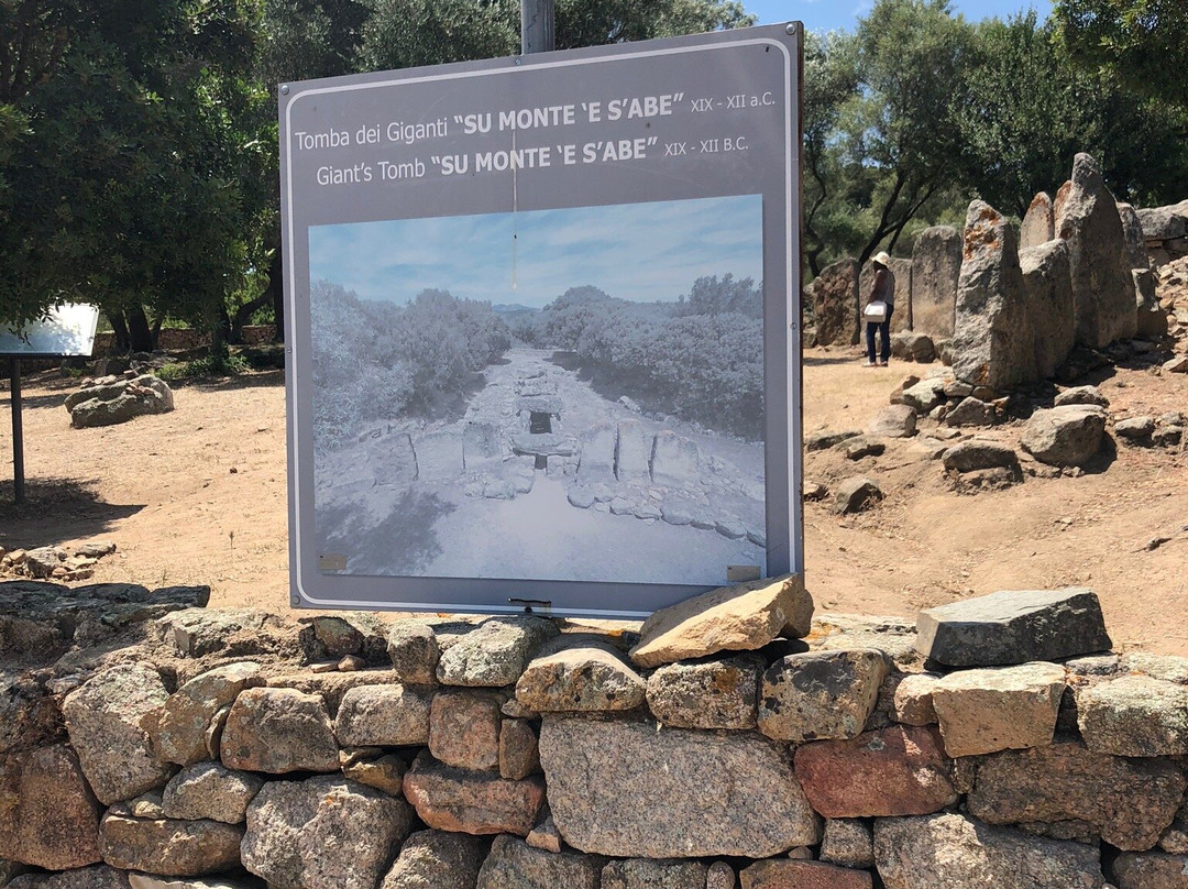 Tomba dei Giganti Su Monte 'è S'Abe-奥尔比亚必去景点