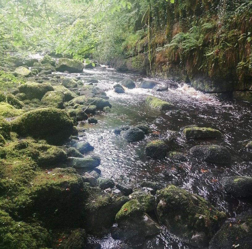 Cladagh Glen Walk景点图片