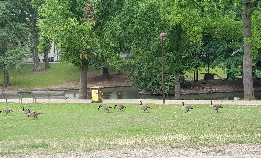 Parc de la Boverie景点图片