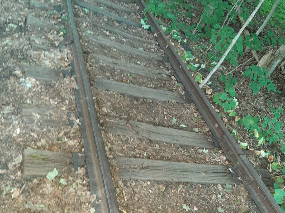 Mill Pond-Milton必去景点