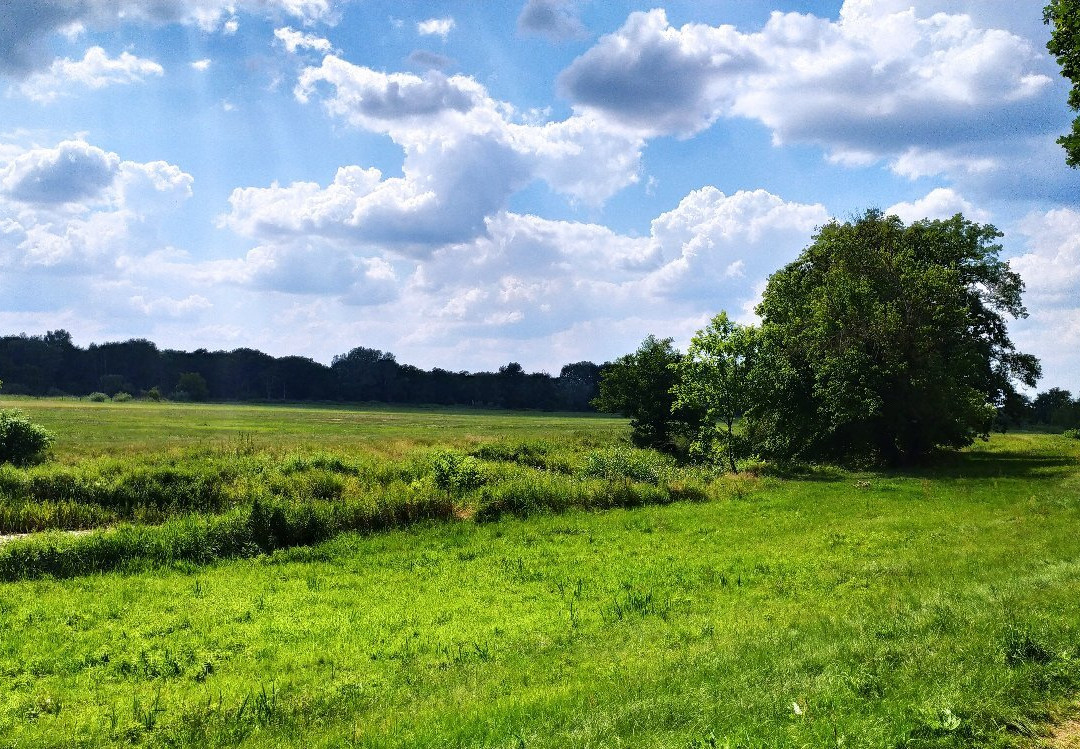 Rogalin Landscape Park景点图片