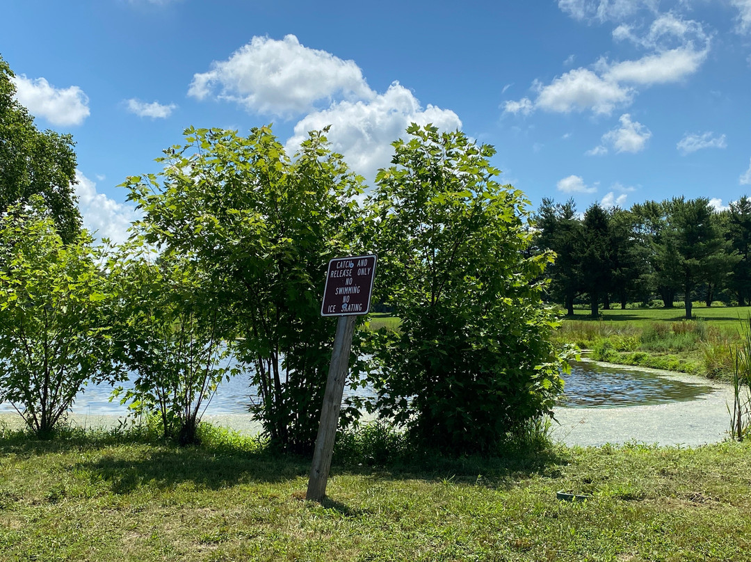 Brantwood Regional Park-埃尔克顿必去景点