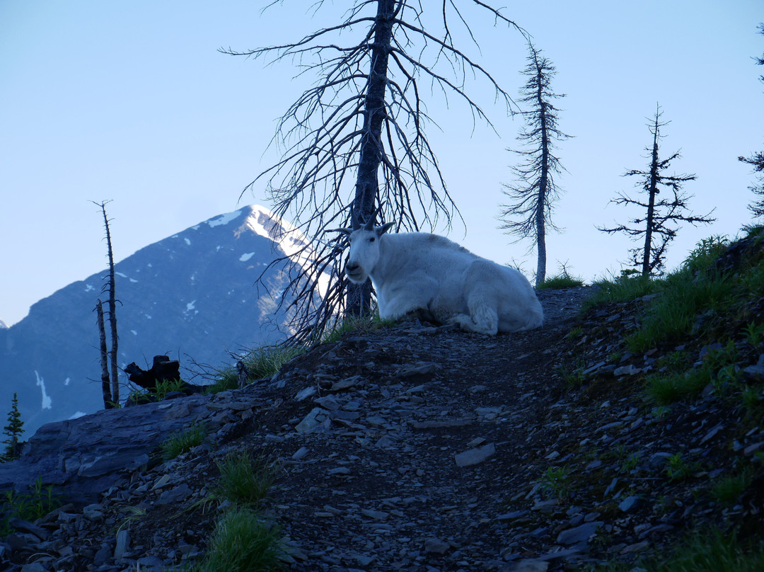 Motel Lake McDonald主图