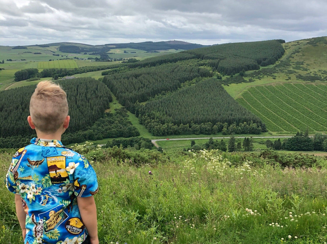 Dunnideer Hillfort-Insch必去景点
