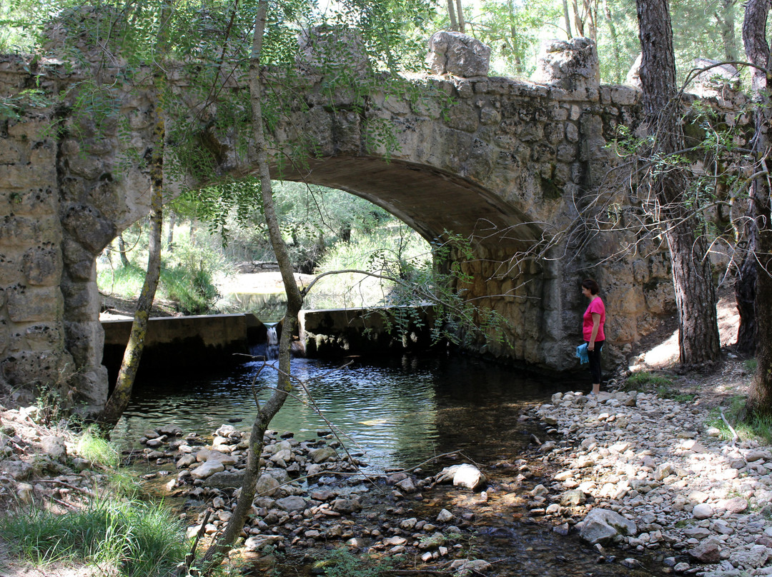 Nacimiento del Rio Guadalquivir景点图片