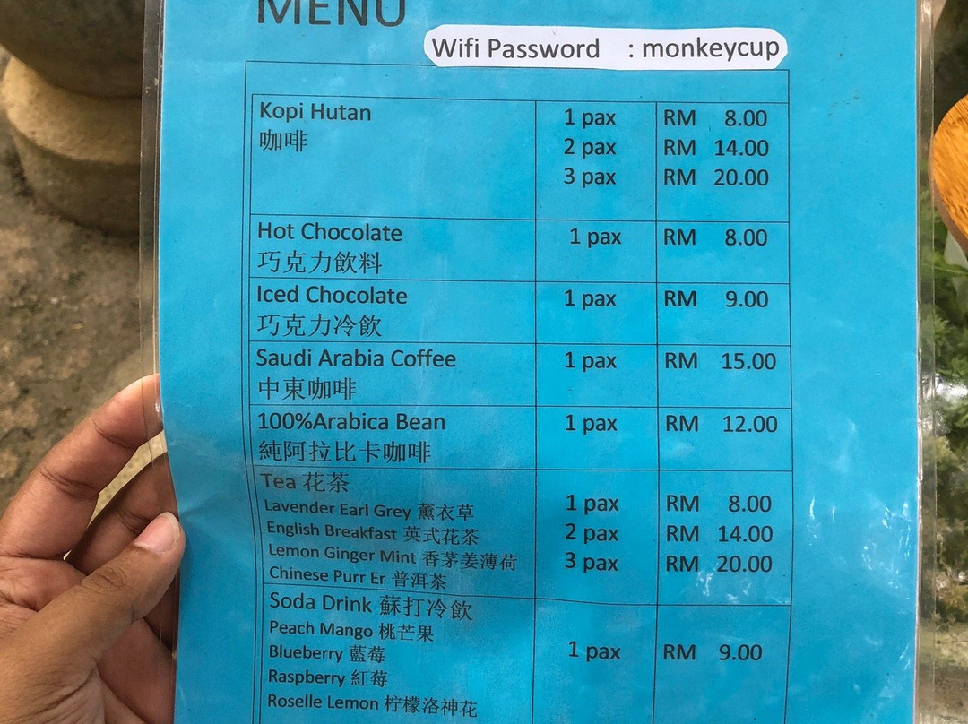 Monkey Cup-槟城岛必去景点