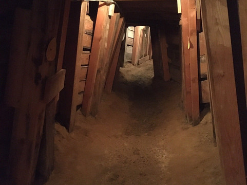 Ponderosa Mine Tour-弗吉尼亚市必去景点