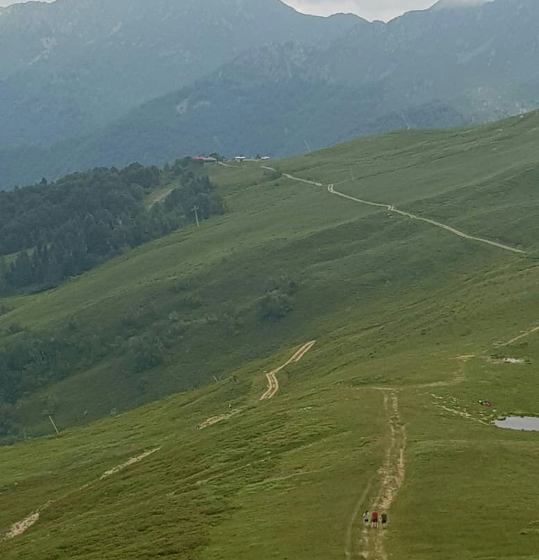Bar Al Boschetto-Scopello必去景点
