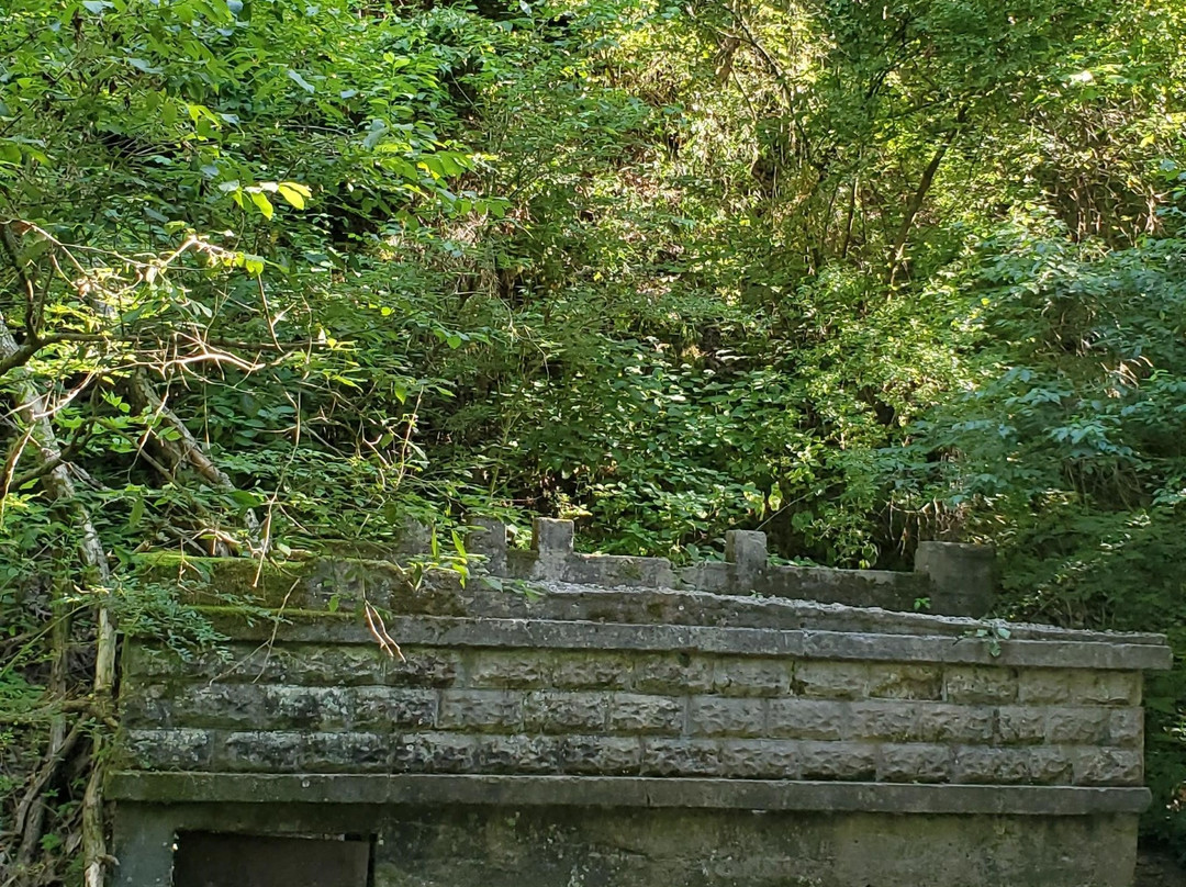 Lake Atalanta-罗杰斯必去景点