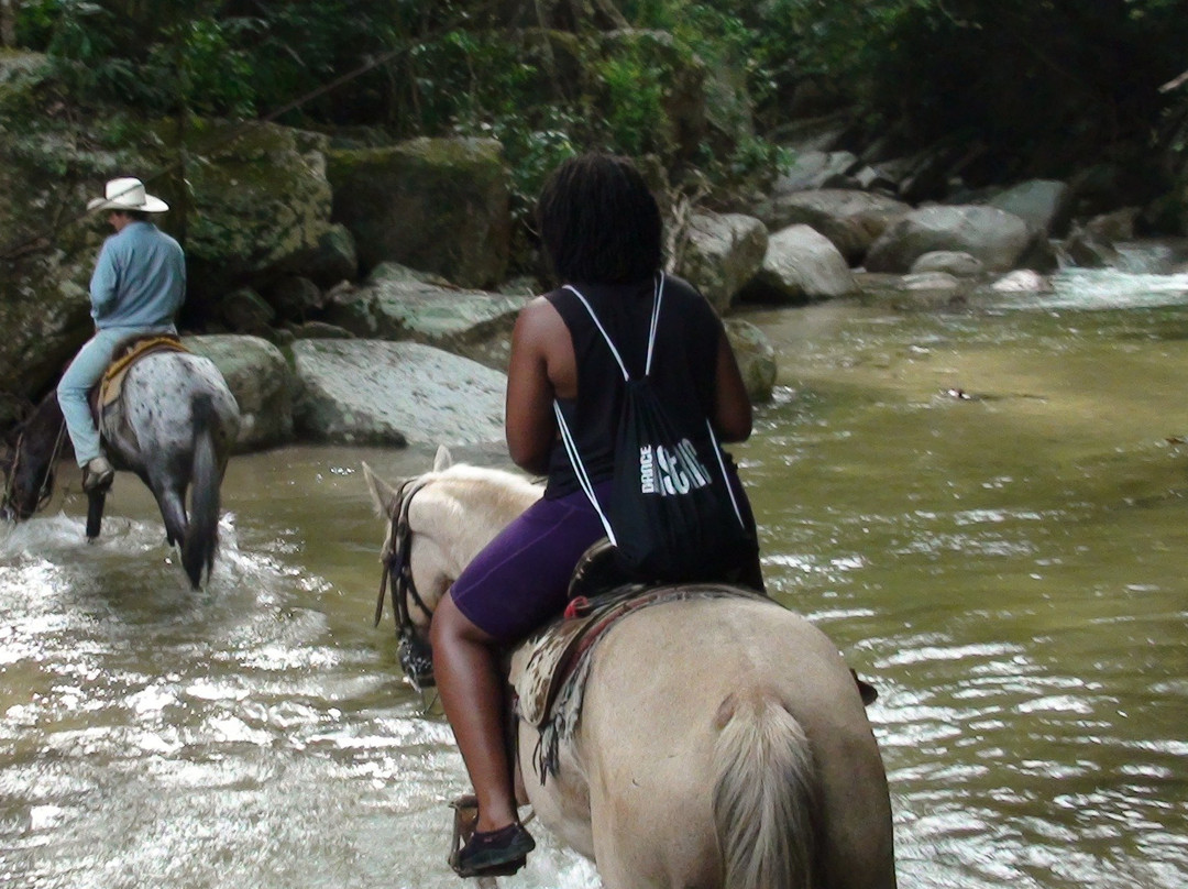 Stress Free All Inclusive Horseback Day Tours to Amazing Beaches!-Mismaloya必去景点
