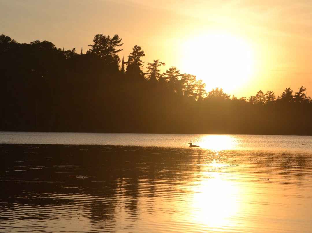 Scenic State Park-Bigfork必去景点