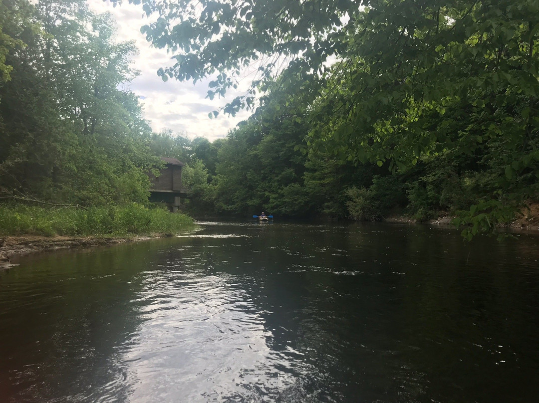 Buckley's Mountainside Canoes-Mount Pleasant必去景点