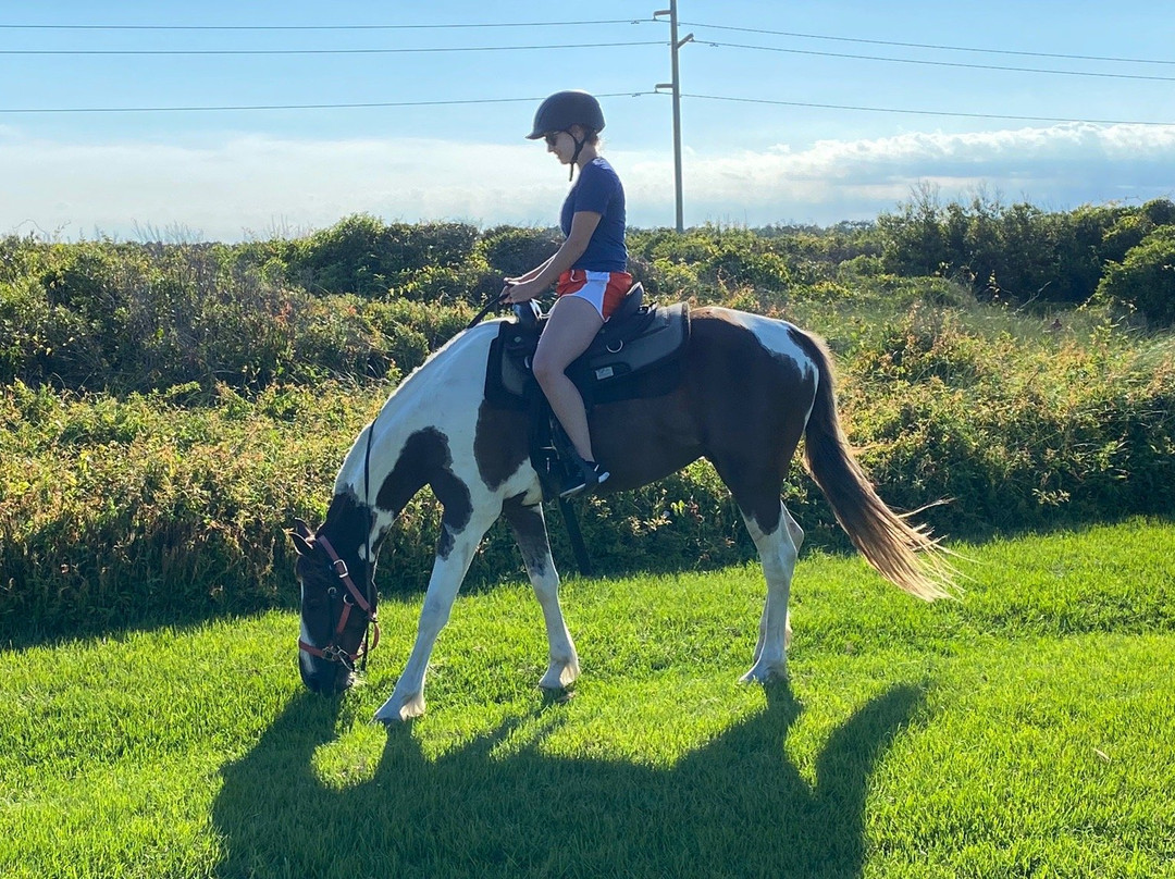 Outer Banks Horseback景点图片