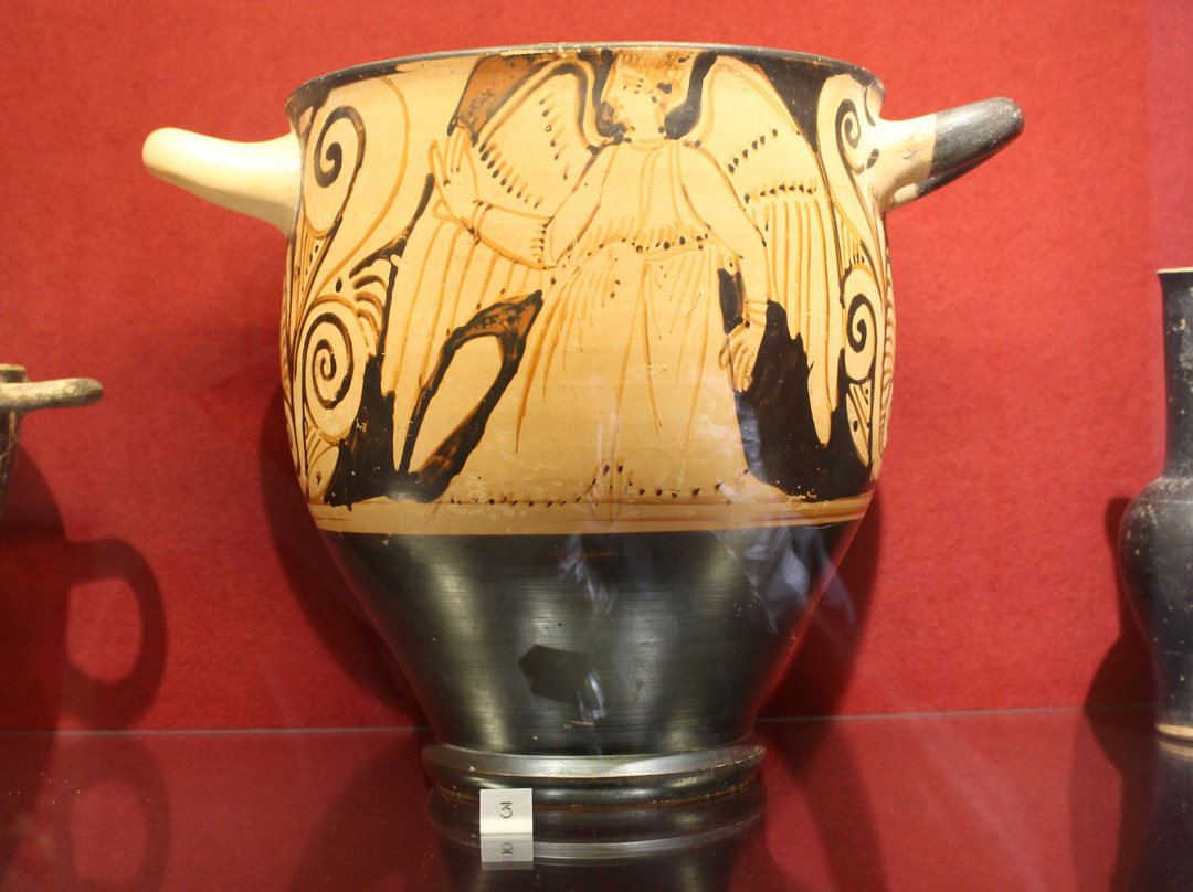Museo Archeologico e d'Arte della Maremma景点图片