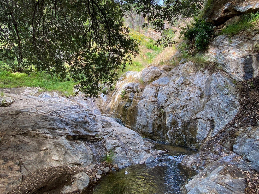 Placerita Canyon Nature Center景点图片