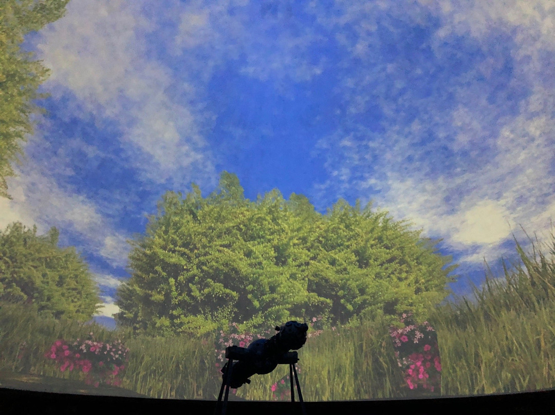 Planetarium - Torun景点图片