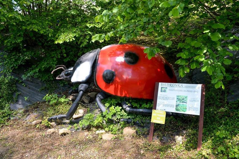 Park Robali Parkus Gigantus景点图片