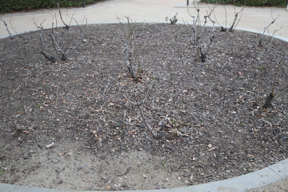 Kimberly Crest House & Gardens-雷德兰兹必去景点