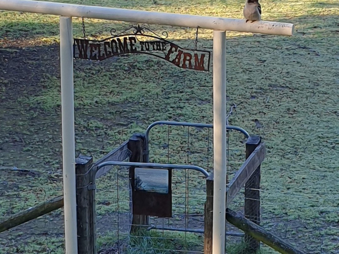 Morvern Valley Guesthouses主图