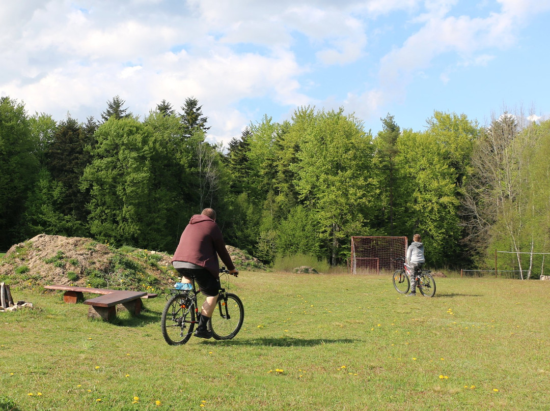 Siedlisko Carownica Family & Wellness