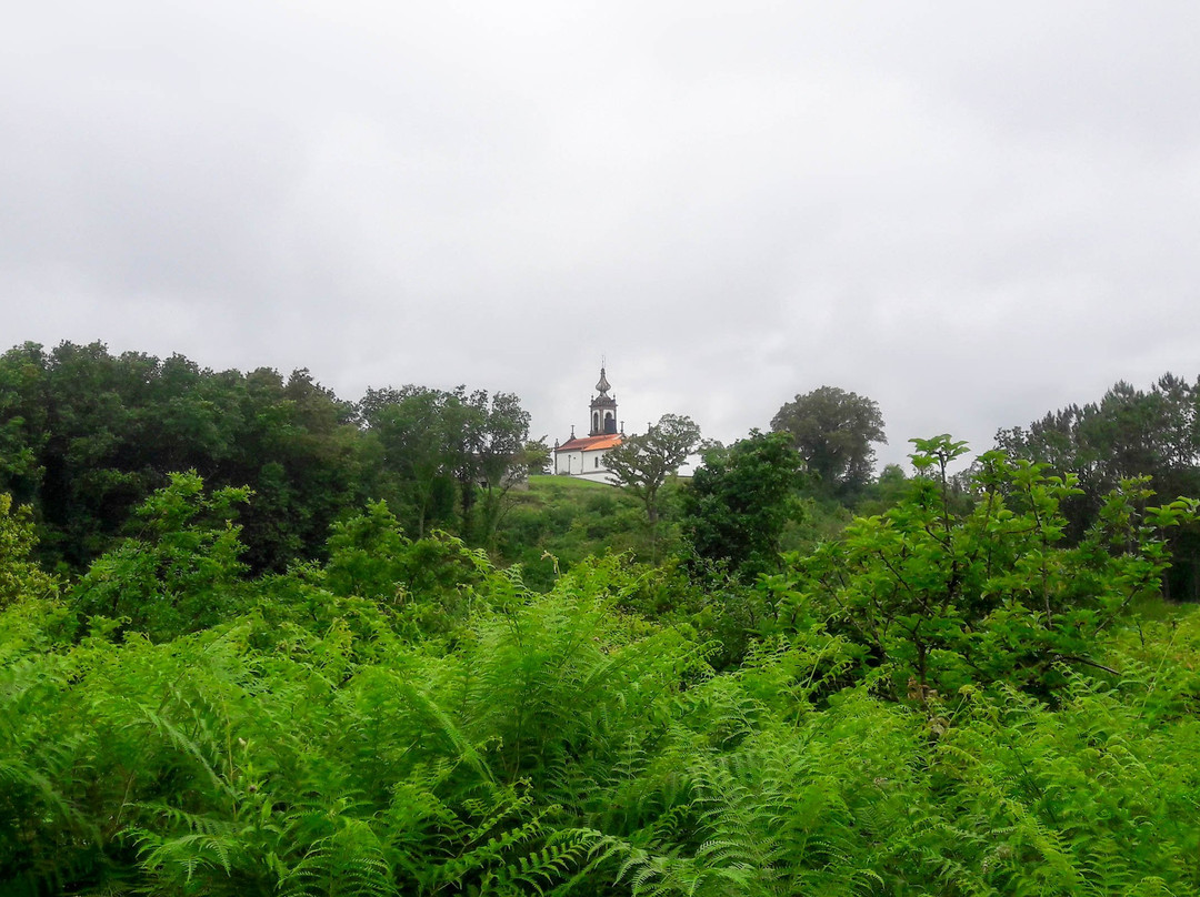 Igreja Paroquial de Vilarelho景点图片