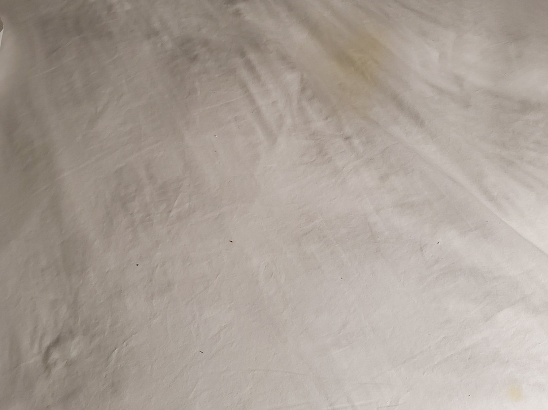 Garner Hotel Paducah West by IHG主图