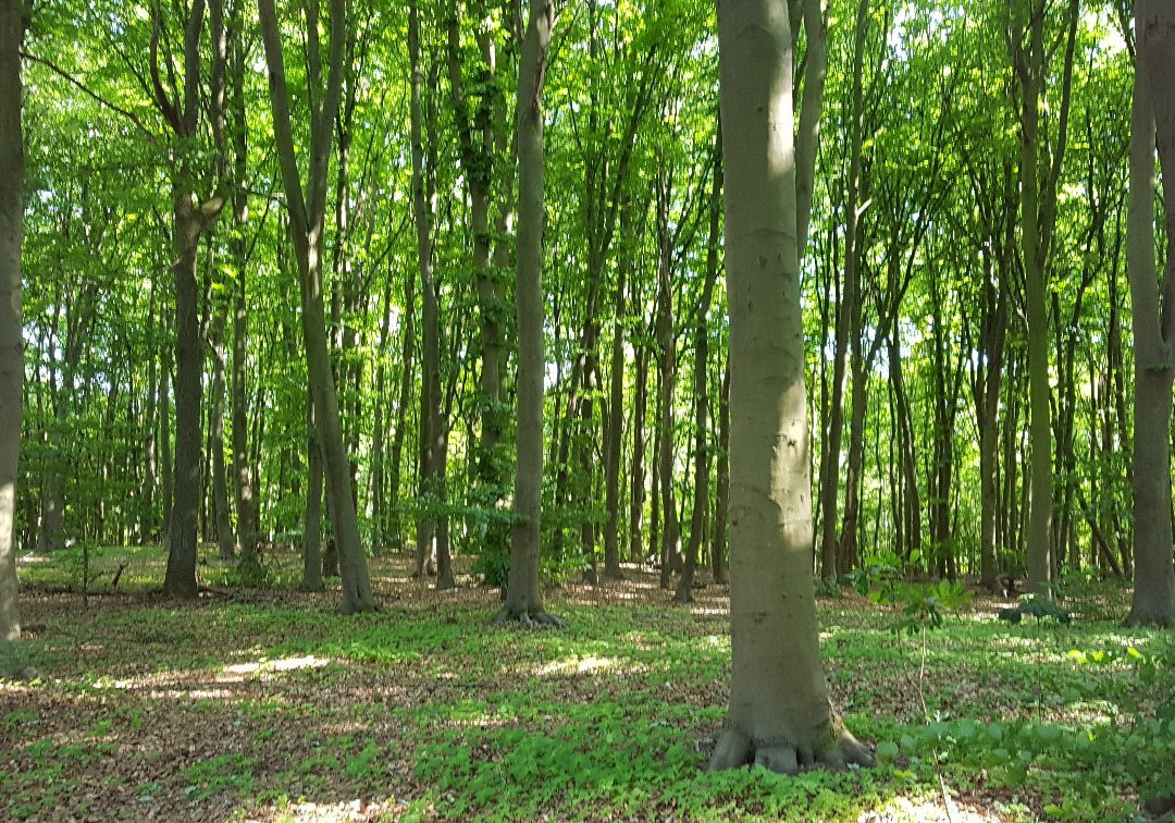Tierpark Tannenbusch-Dormagen必去景点