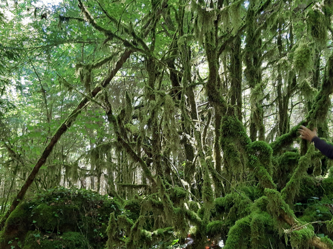 The Labyrinth Verte-Nebias必去景点