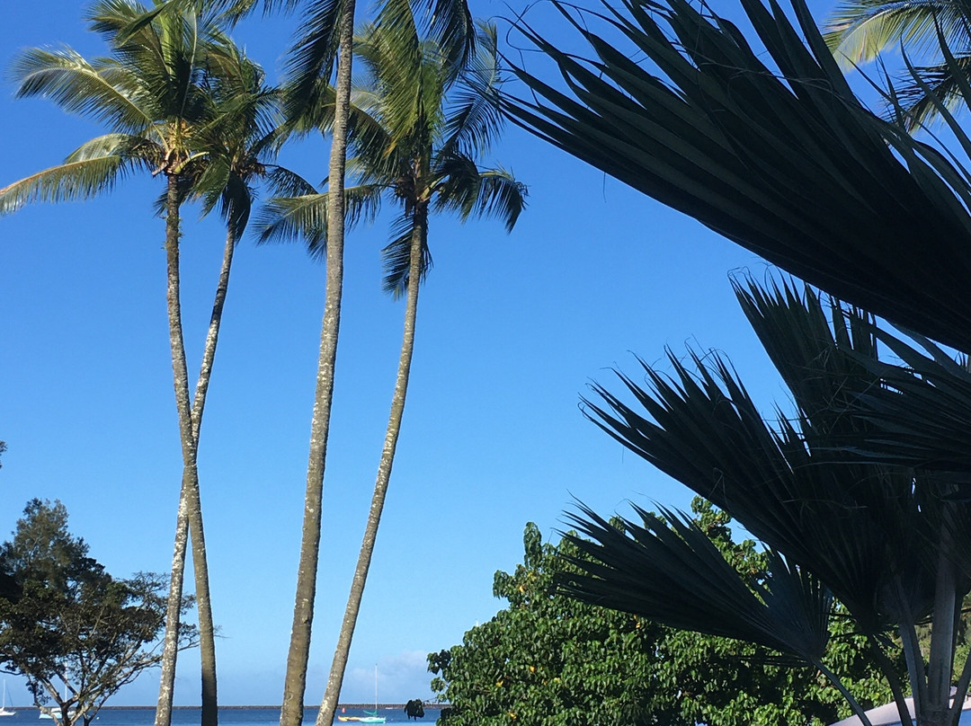 Reeds Bay Beach Park-希洛必去景点