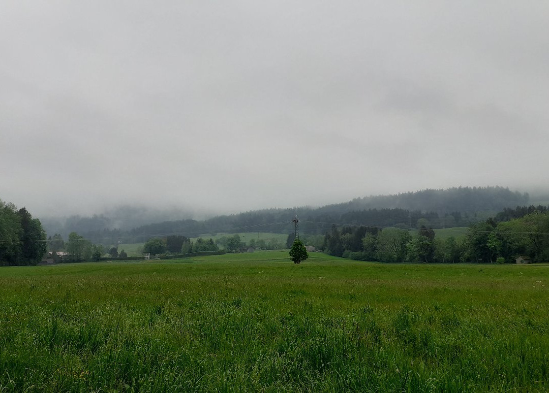 Freizeithotel Waldschaenke主图
