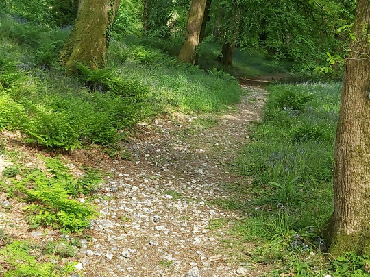 Blackbury Camp-Southleigh必去景点