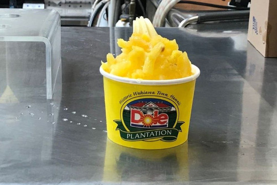 Fly Shuttle & Tours-瓦胡岛必去景点