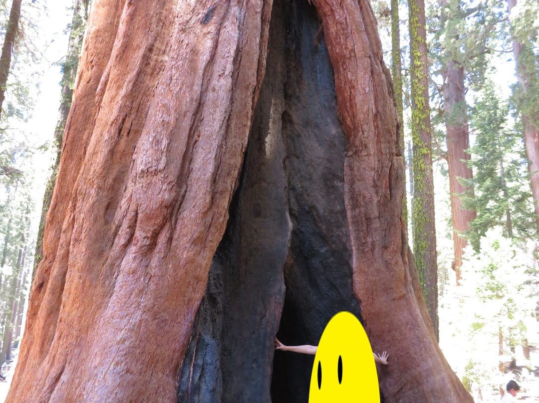 The Tough Twins-红杉&国王峡谷国家公园必去景点