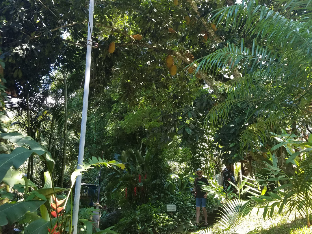 Preta Beach-Vila do Abraao必去景点