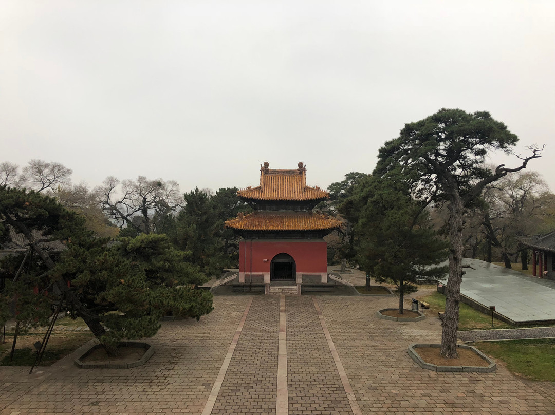 沈阳东陵公园景点图片