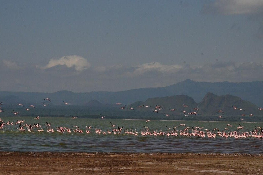 FoxTrail Expeditions-纳库鲁必去景点