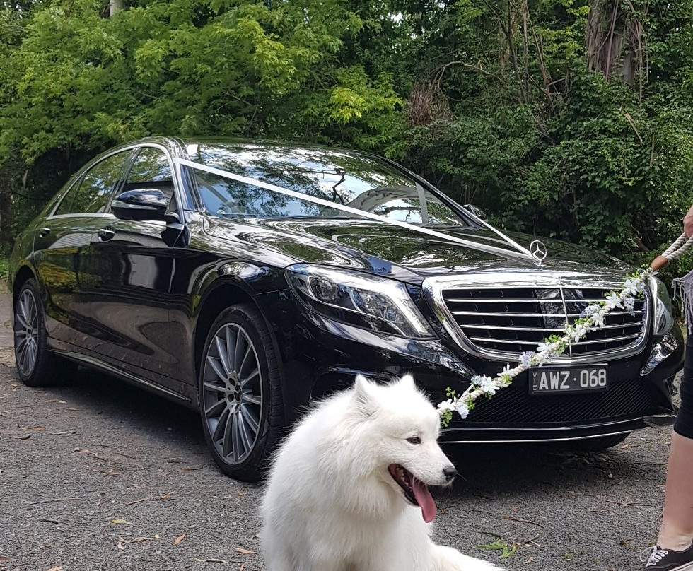 Nightcap at York on Lilydale主图