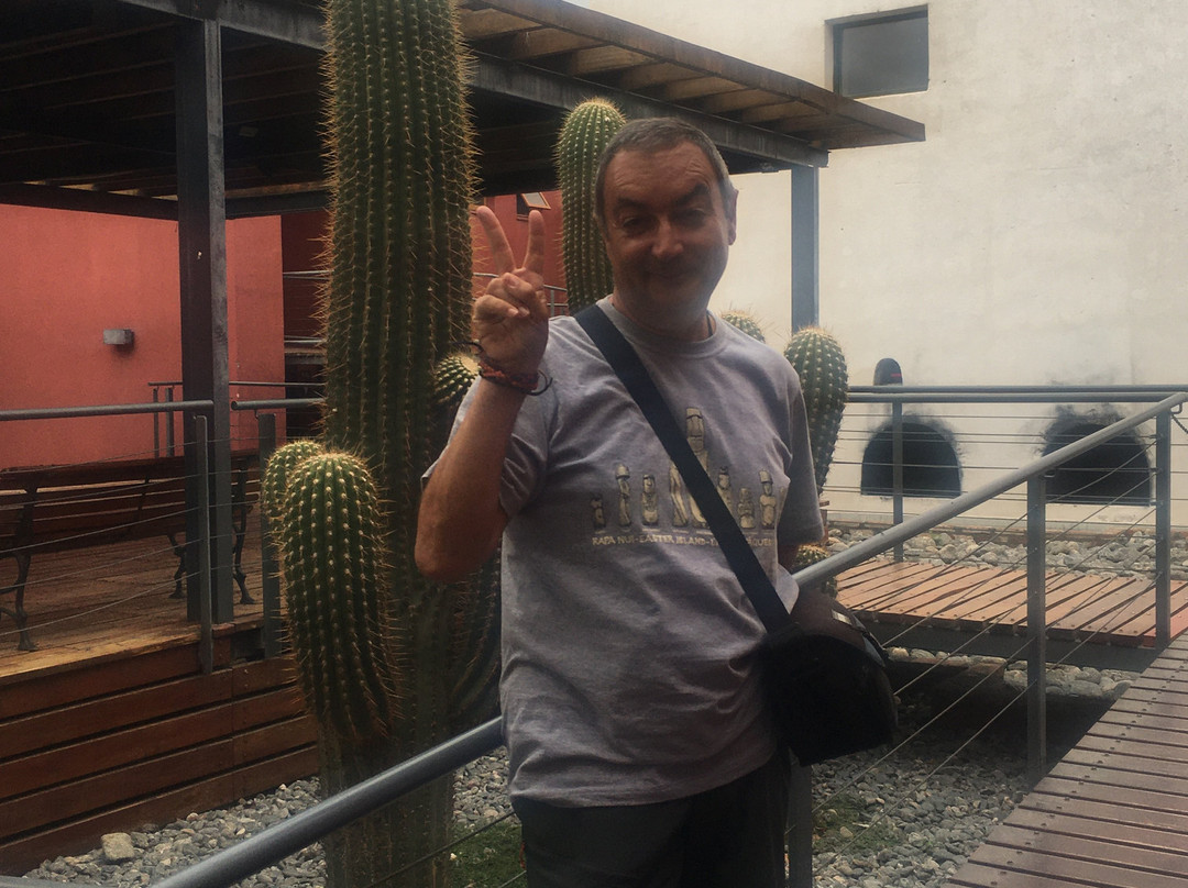Museo de la Vid y el Vino景点图片
