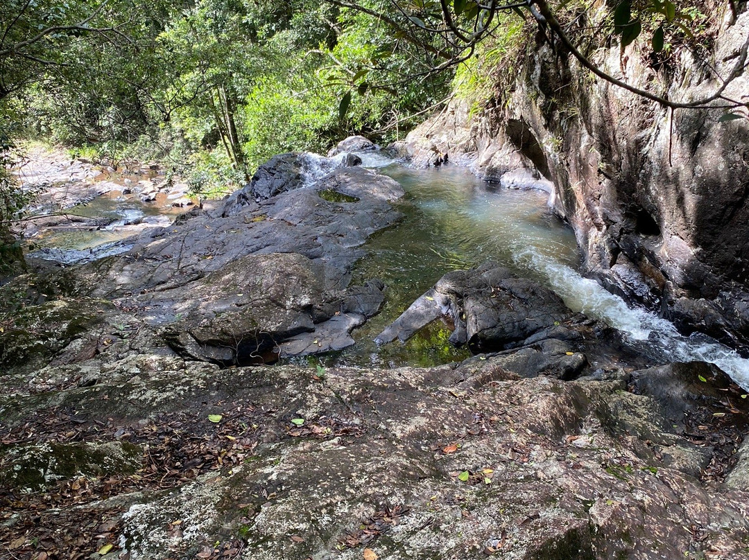 Dinner Falls- 阿瑟顿必去景点
