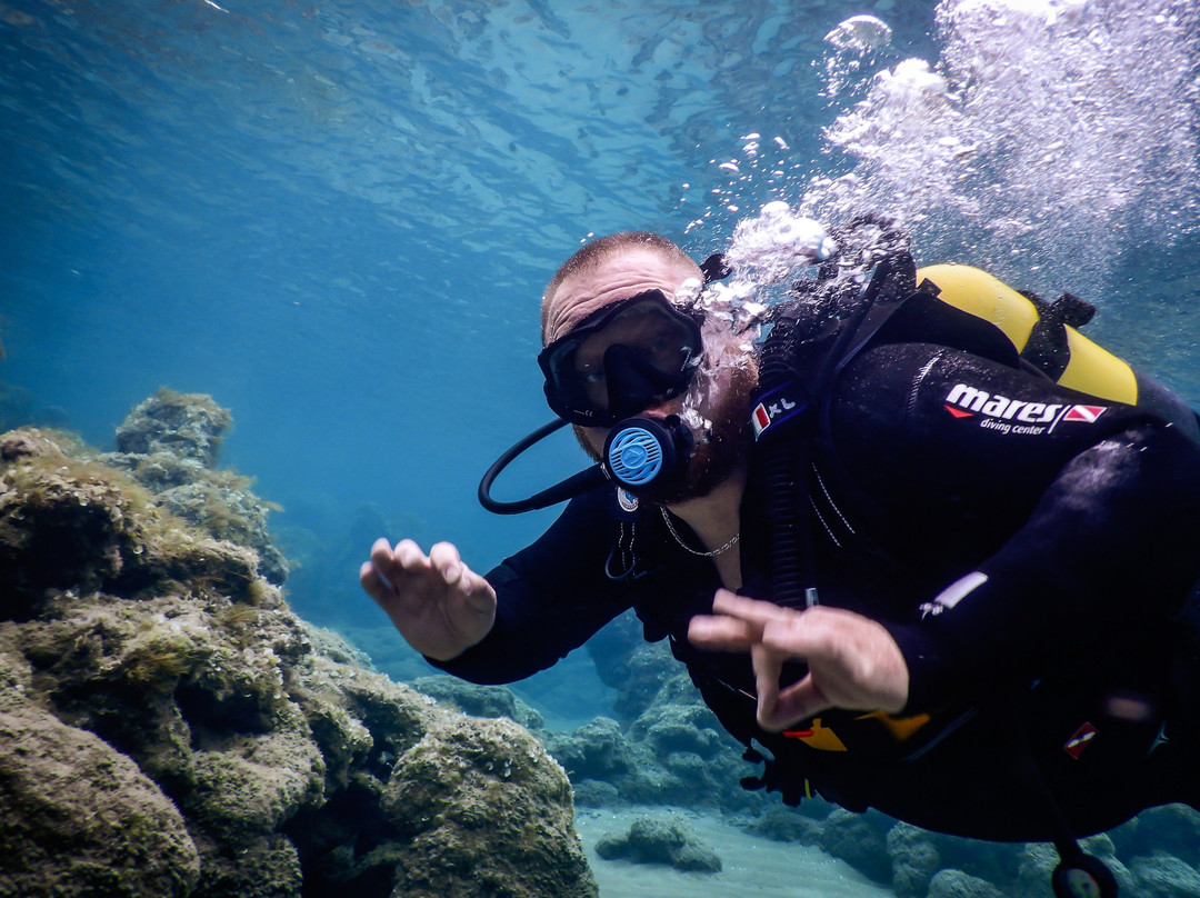 Wild Fun Dive-扎金索斯必去景点